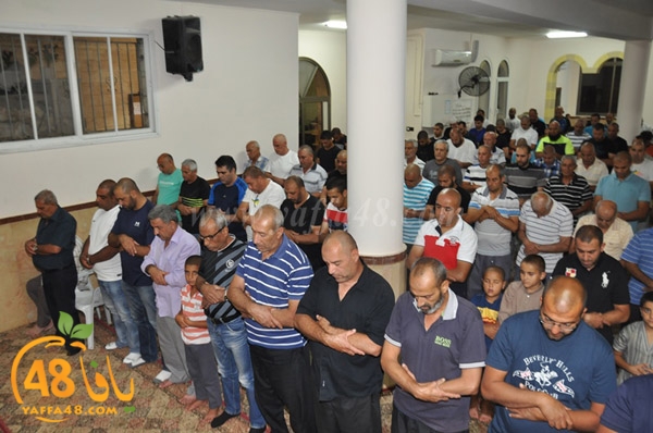 tarawee7 3ajamiwj (5).JPG